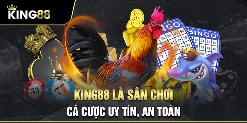 Vì sao nên chọn tham gia chơi Đá Gà King88?